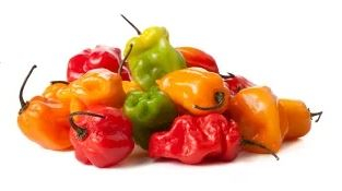 Collection of hot peppers